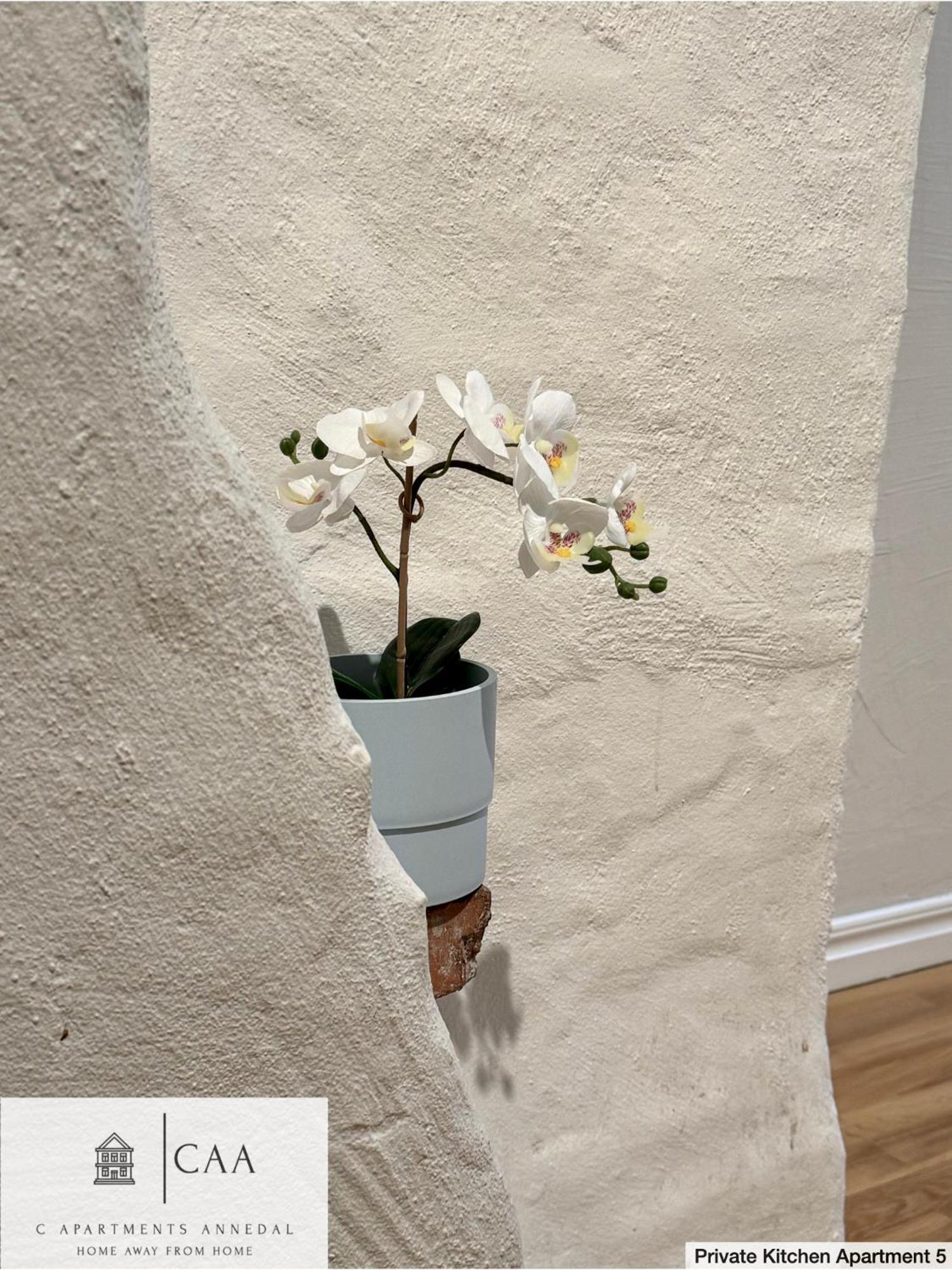 Apartment C Annedal